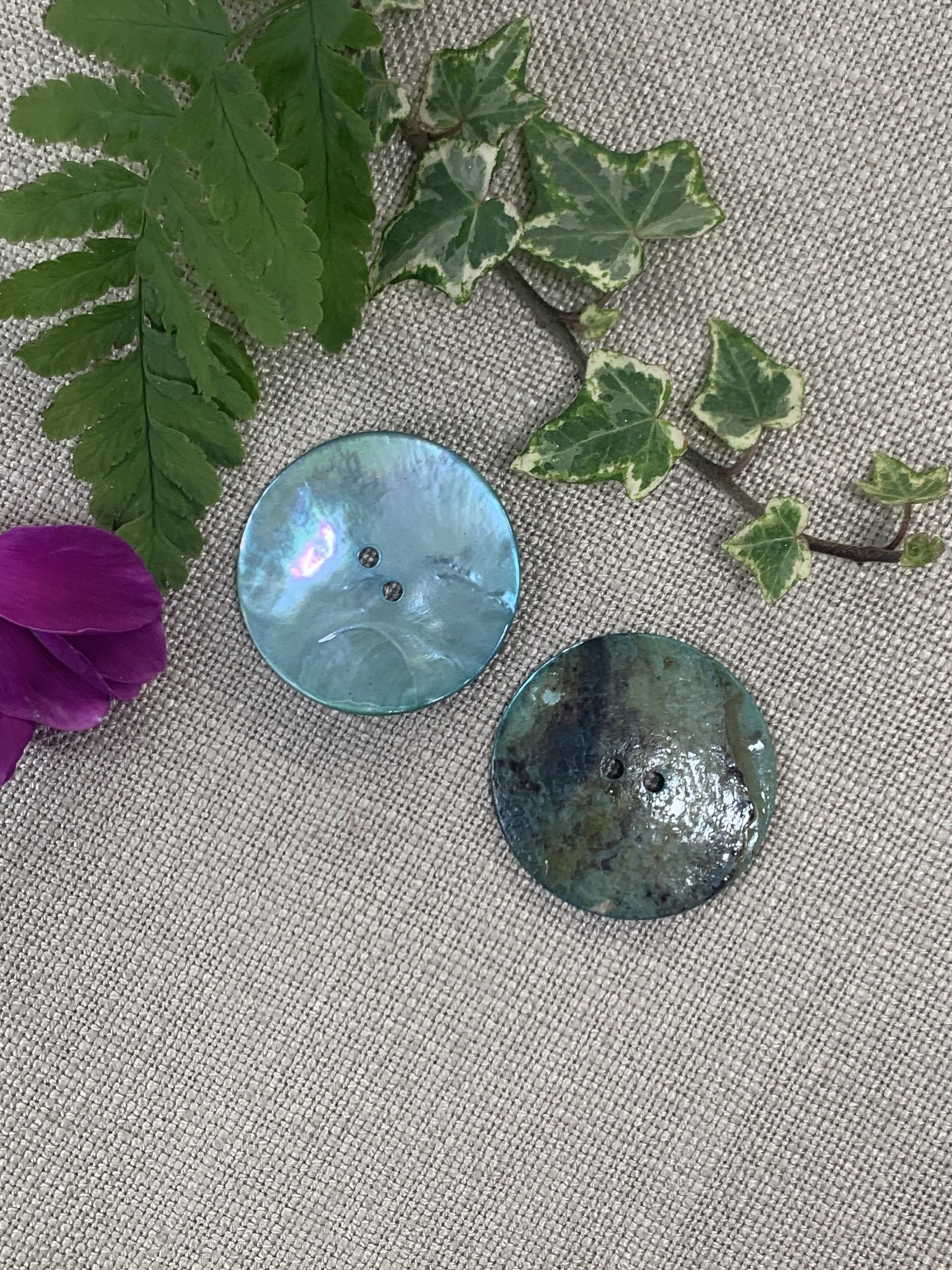 Aqua Shell Buttons | Watsons Fabrics
